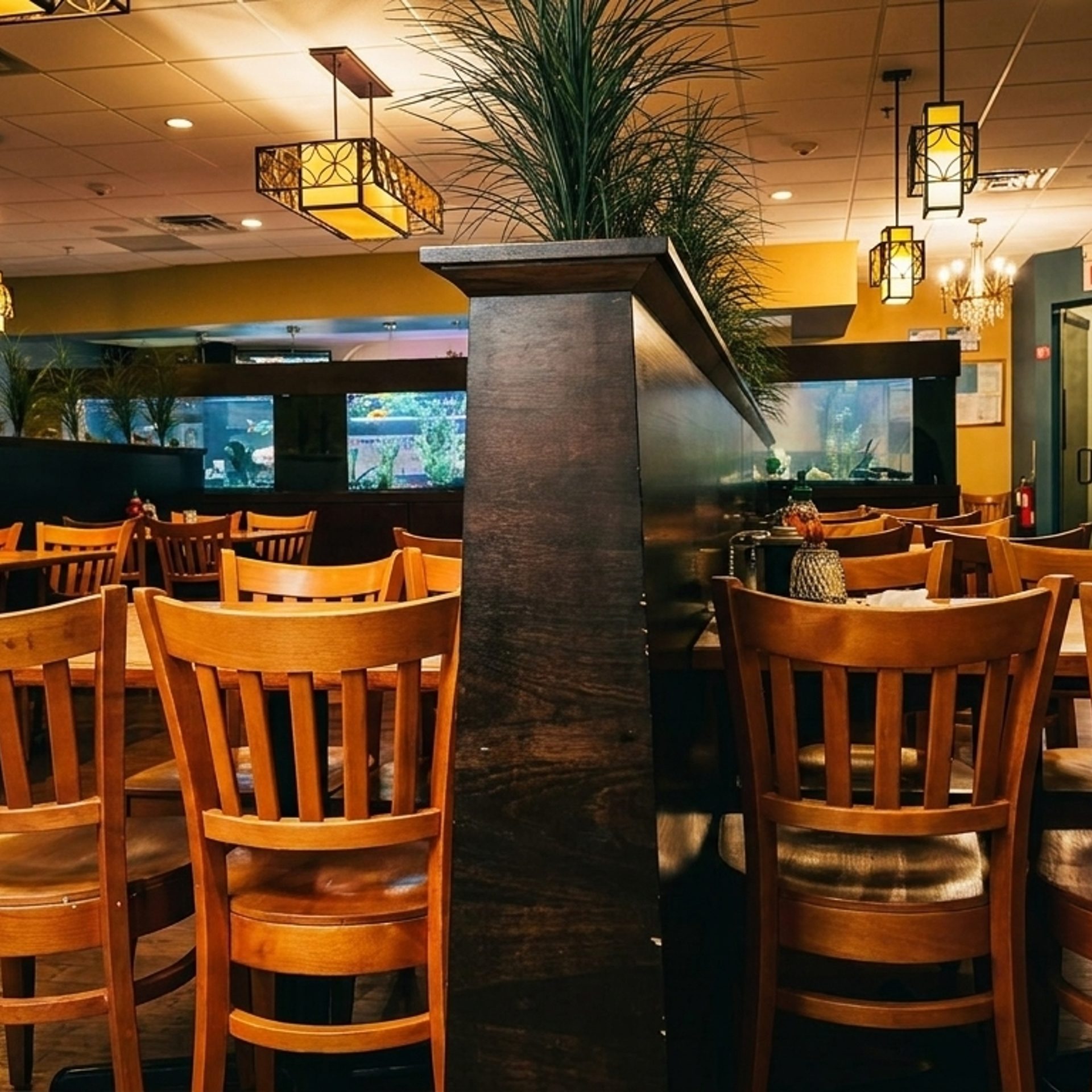 The Chelmsford Space